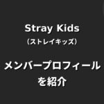 Stray Kids(ストレイキッズ)メンバー紹介！年齢・プロフィールまとめ